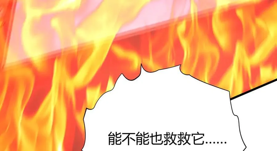53113