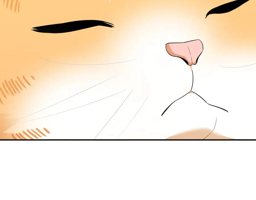3556