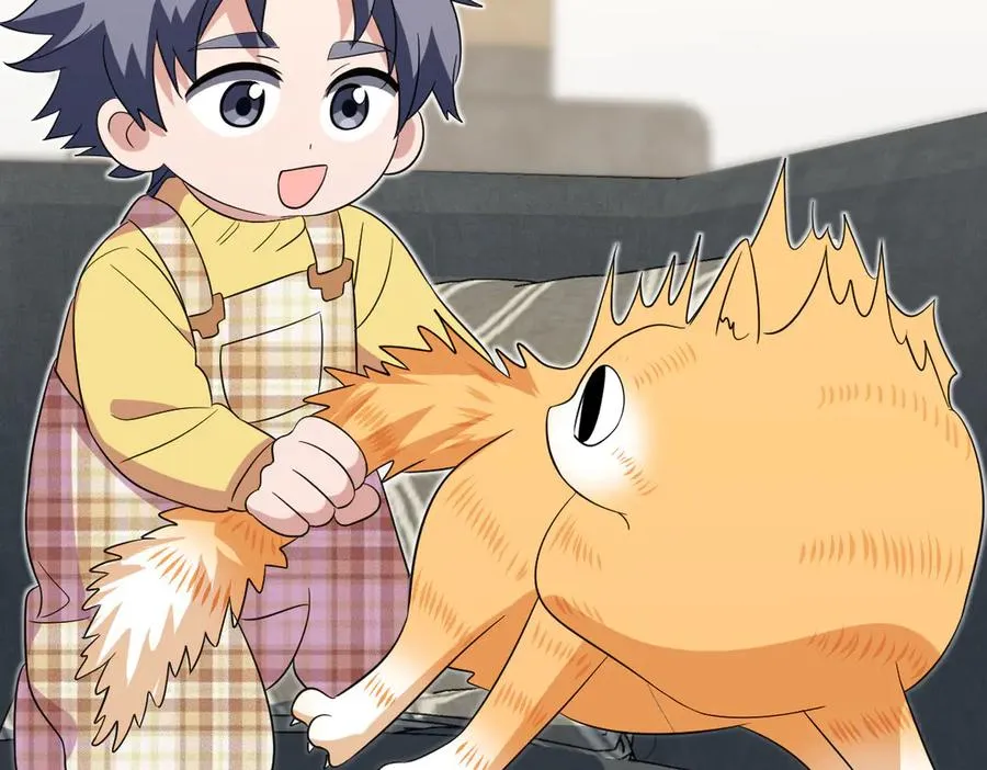 35511