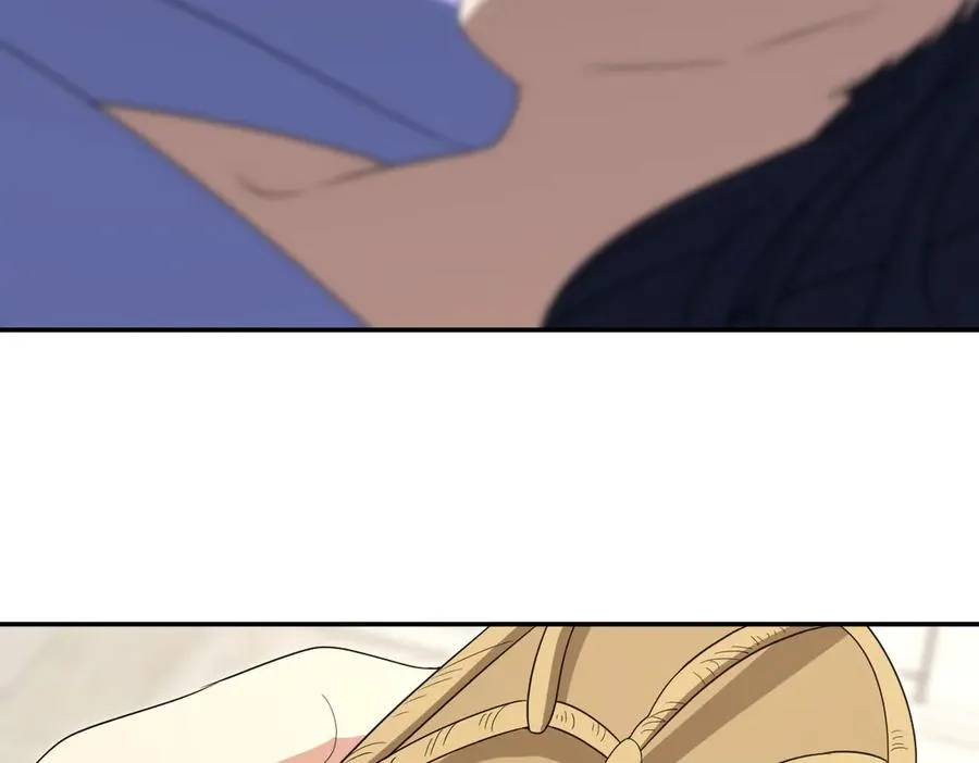 36262