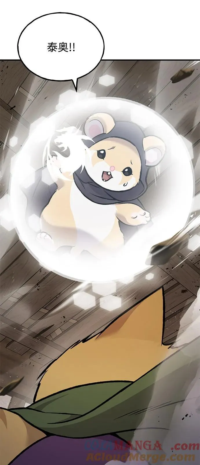[第96话] 魔法师与公主116