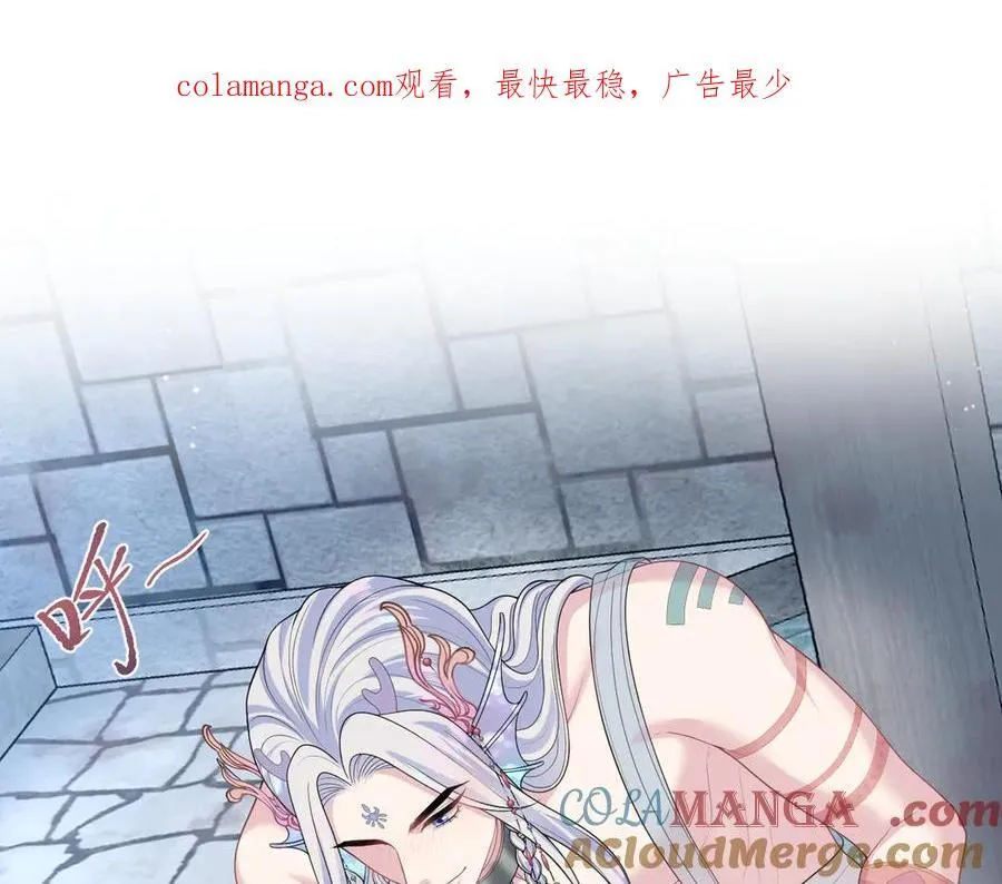 397 封后大典0