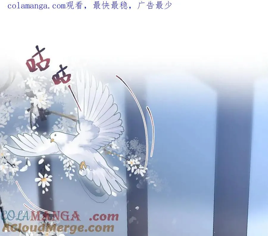 395 深夜密会筹划营救0