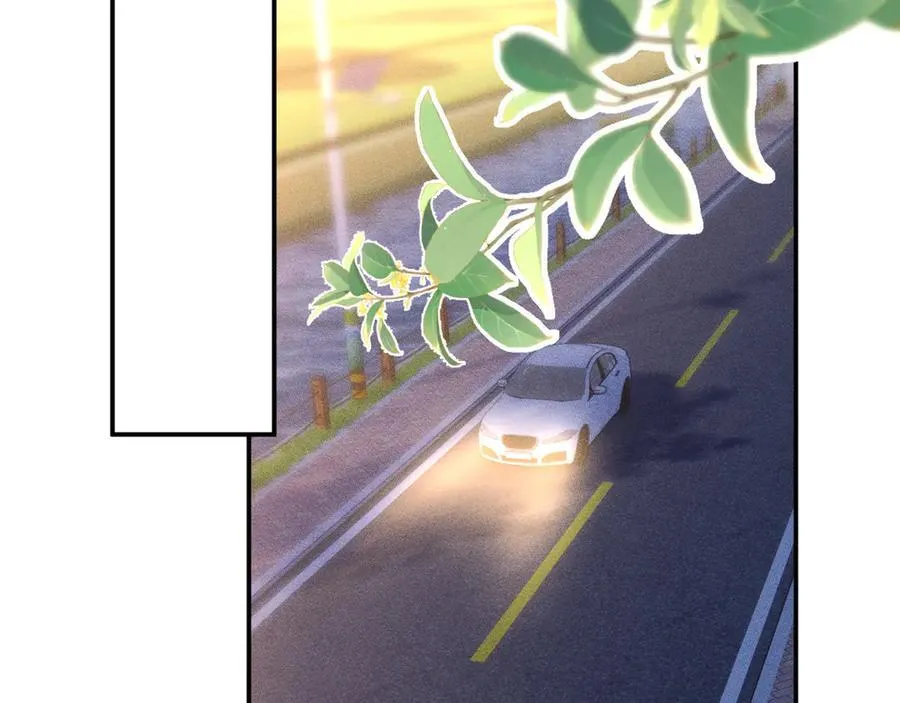 第350 霍晚樱的条件65