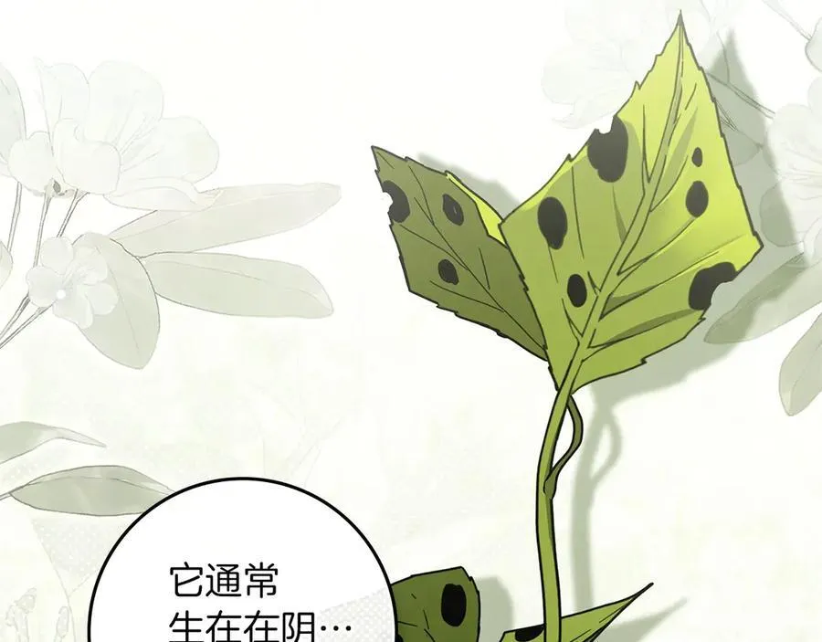 第117话 止疫良方13
