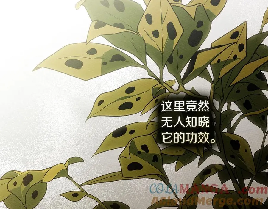 第117话 止疫良方44
