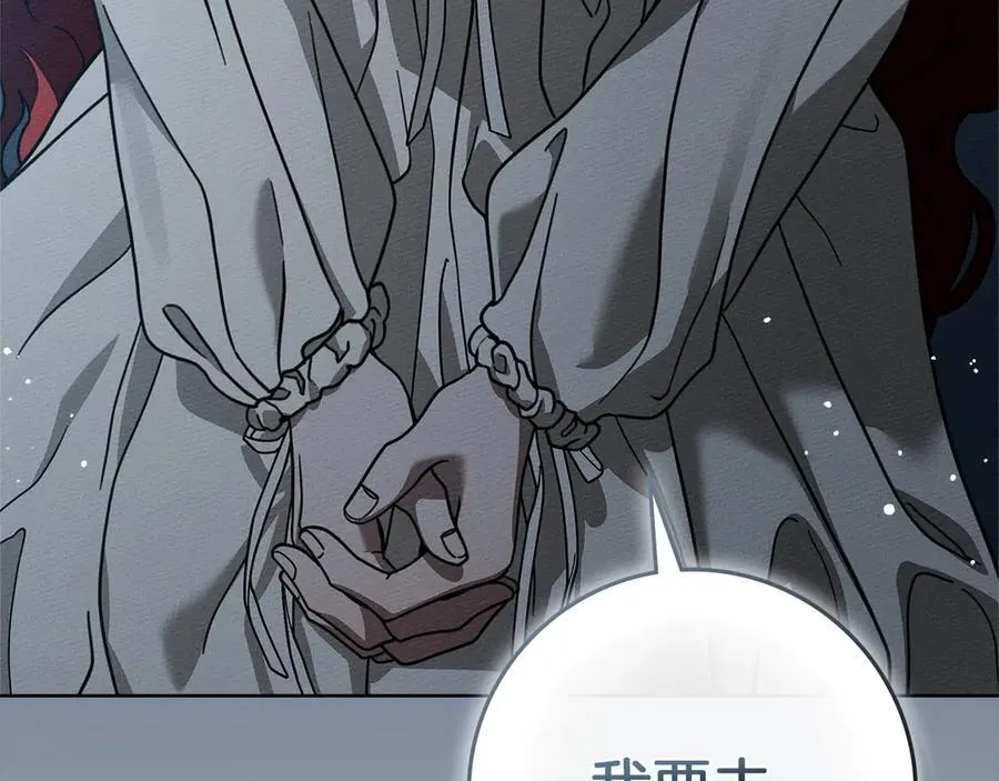 第118话 偷渡战场134
