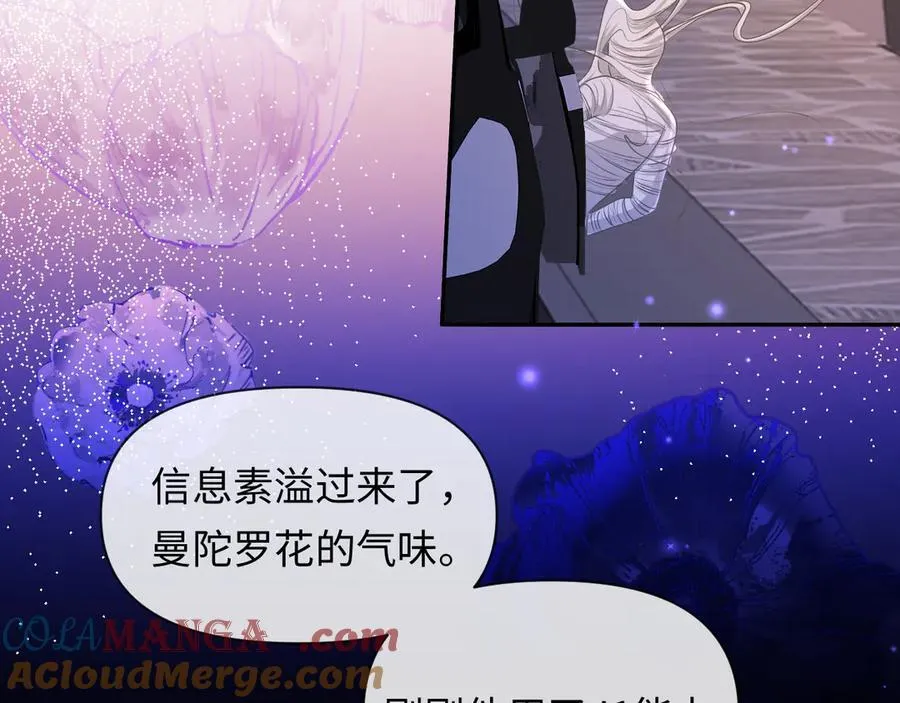 第137话 金缕虫60