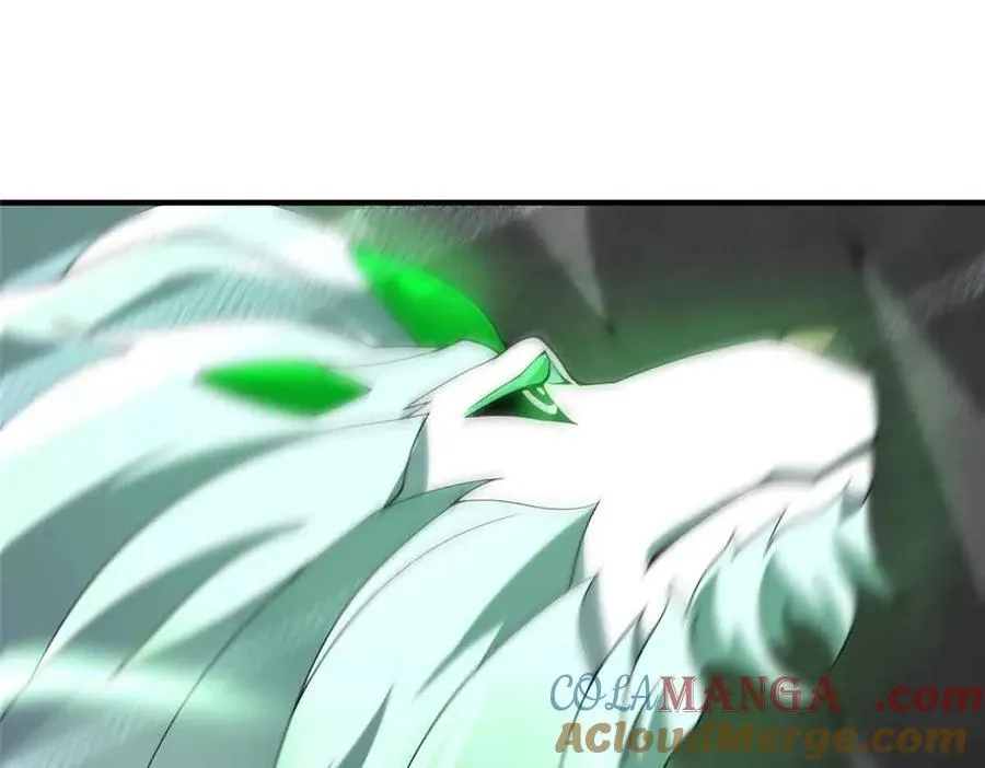 381 你们对我有误解56