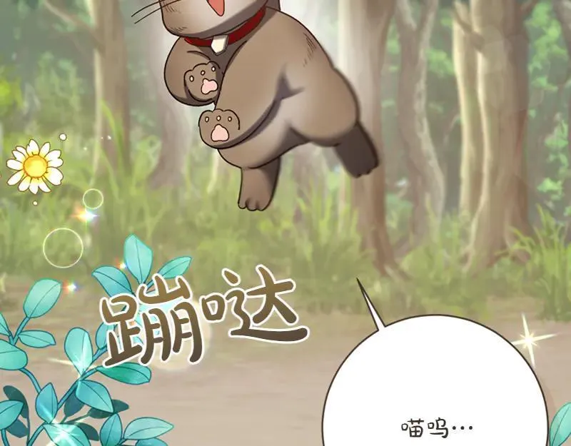 第220话 强化魔法课25