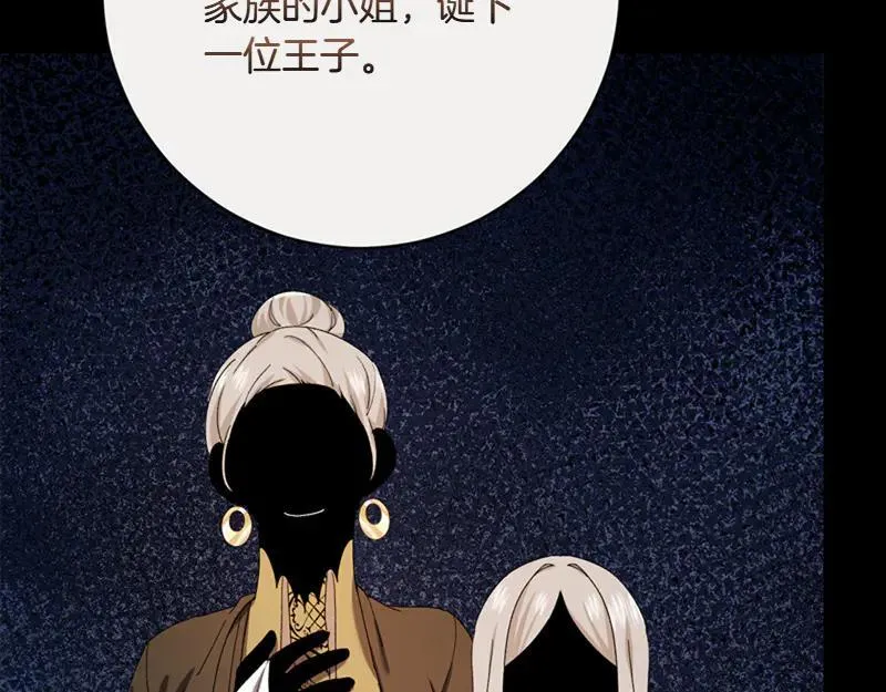 第222话 使团随行王子5