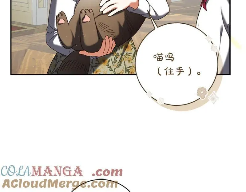 第221话 平胸风波68