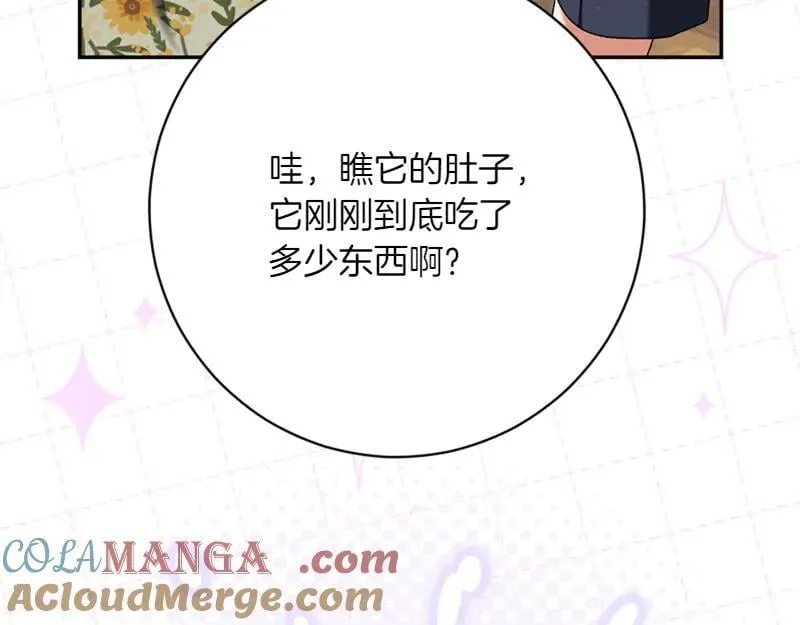 第221话 平胸风波60