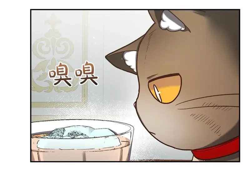 第221话 平胸风波49