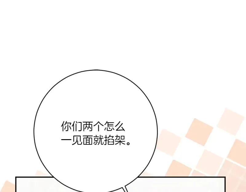第221话 平胸风波93