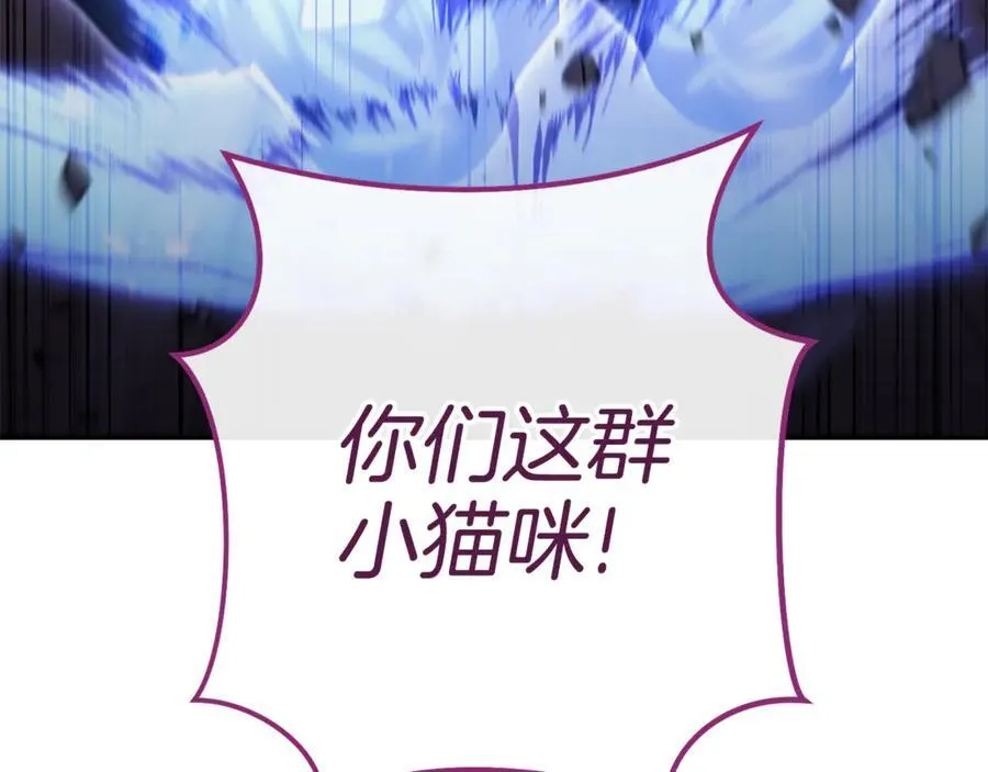 第221话 收服影子猫121