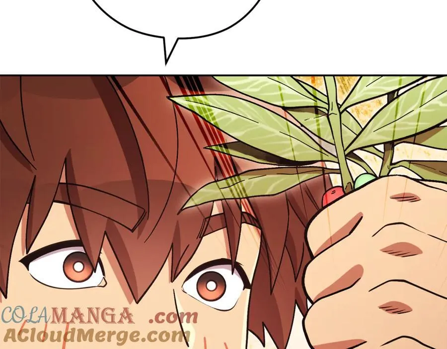 第196话 新的香辛料168