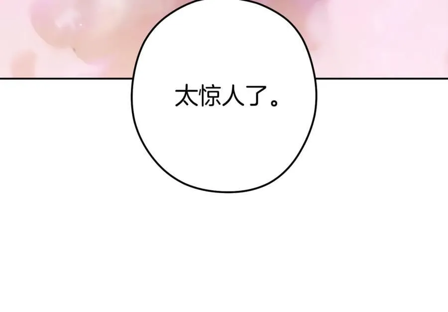 第204话 领域受限74