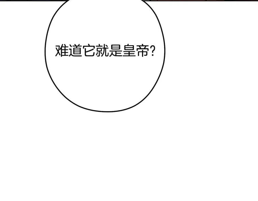 第229话 真正的世界树206