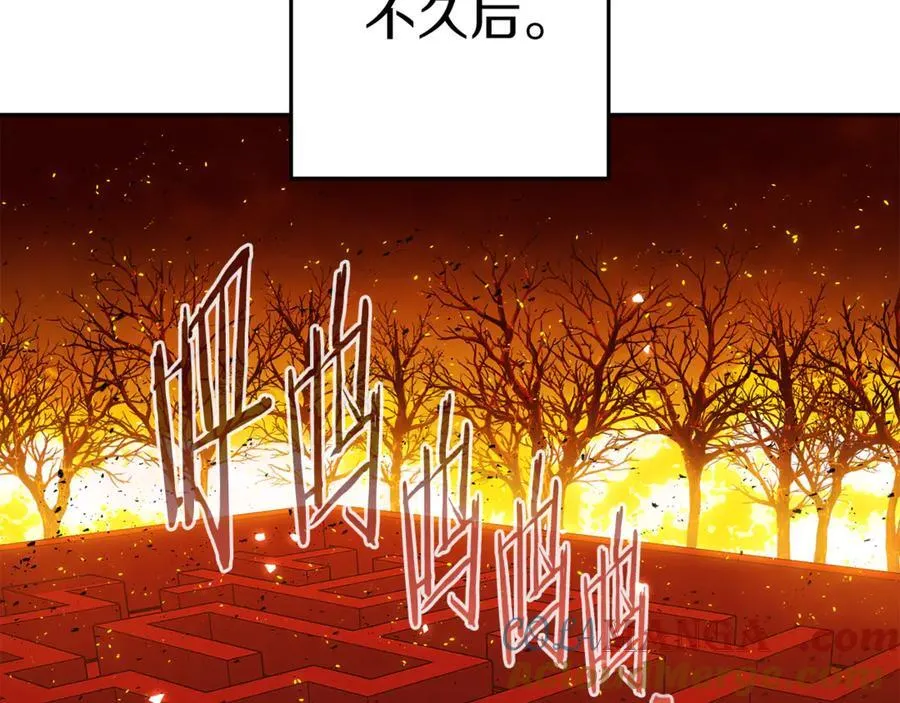 第222话 圈养火怪124