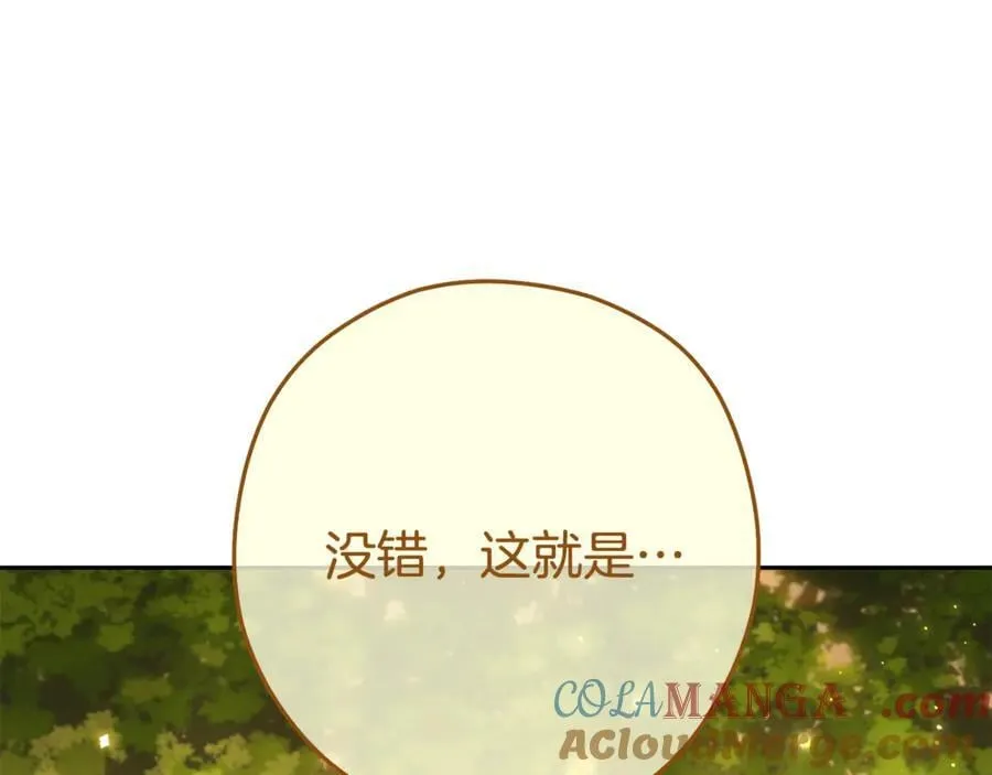 第229话 真正的世界树236