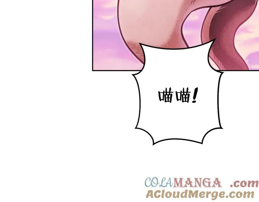 第204话 领域受限64
