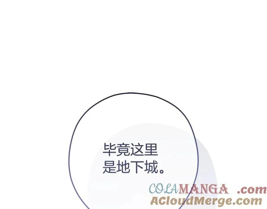 第196话 新的香辛料120