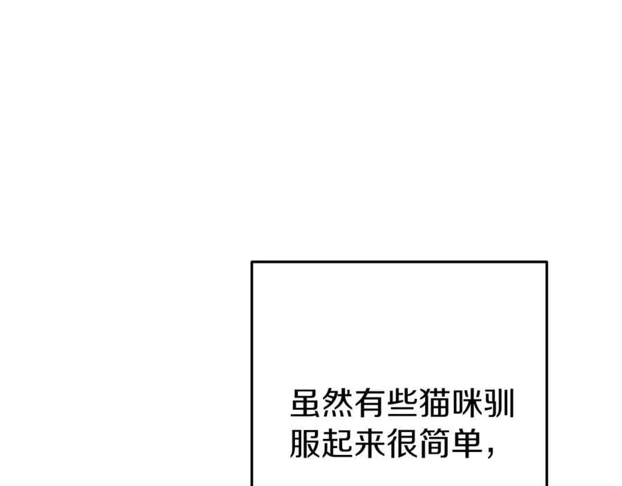 第221话 收服影子猫21