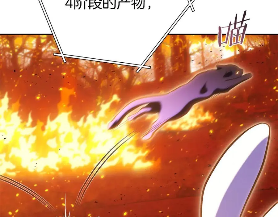 第219话 燃烧森林145
