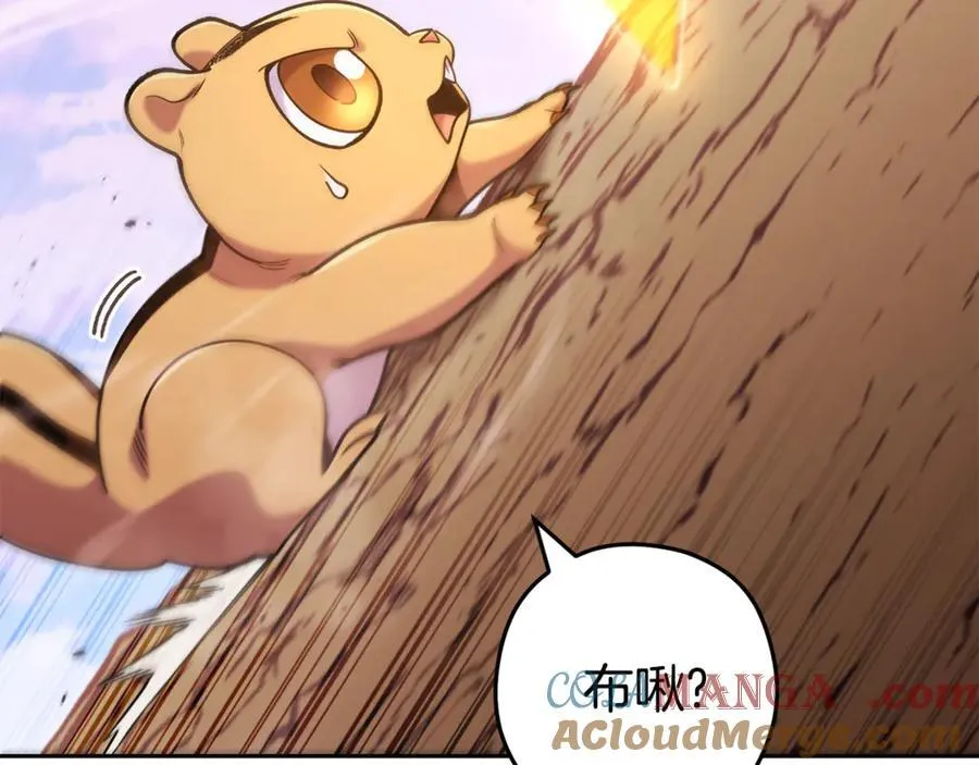 第214话 升级40