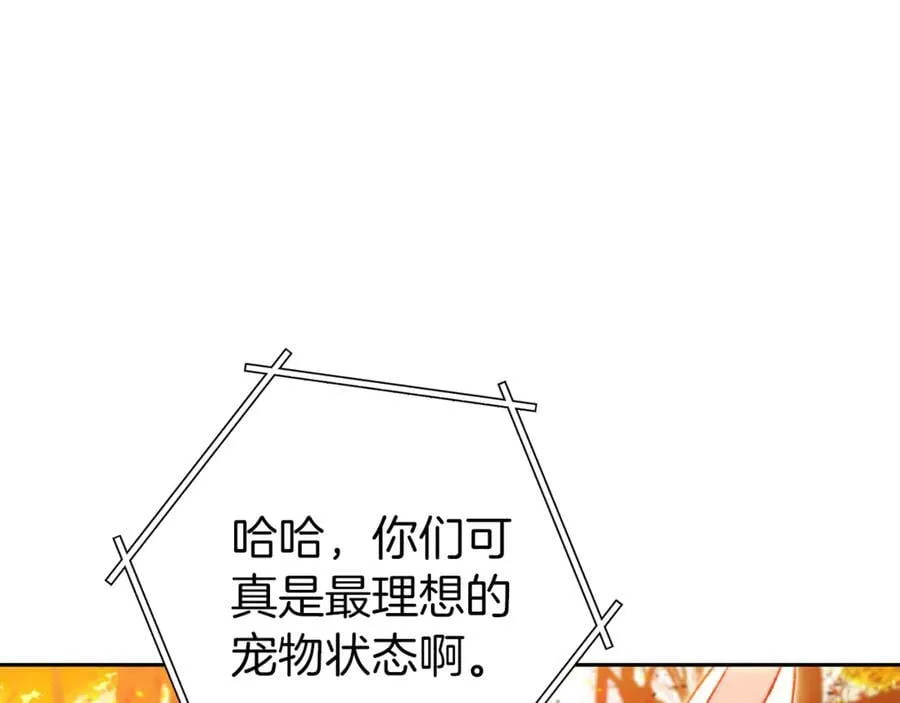 第221话 收服影子猫163