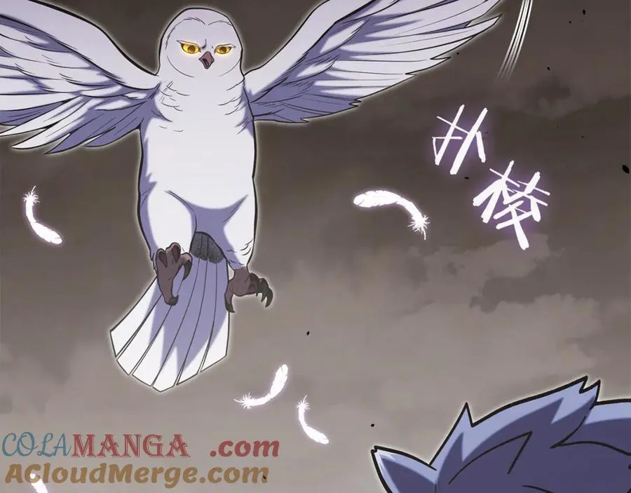 第229话 真正的世界树56