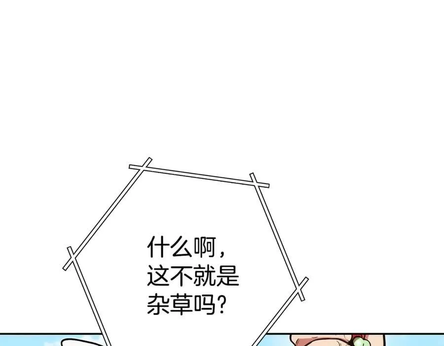 第196话 新的香辛料150