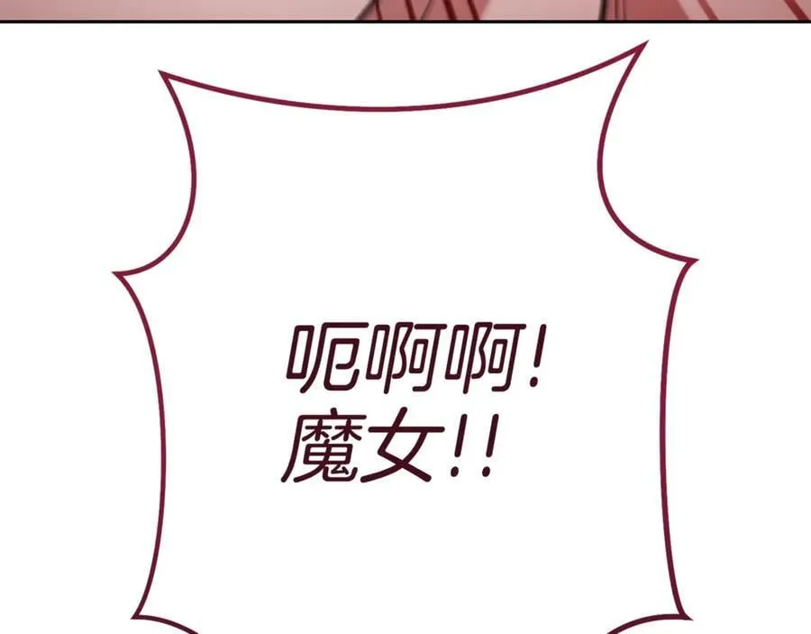 第196话 新的香辛料238