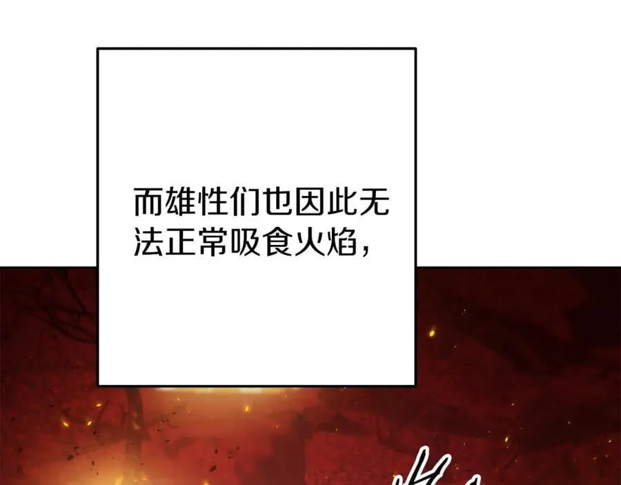第222话 圈养火怪207