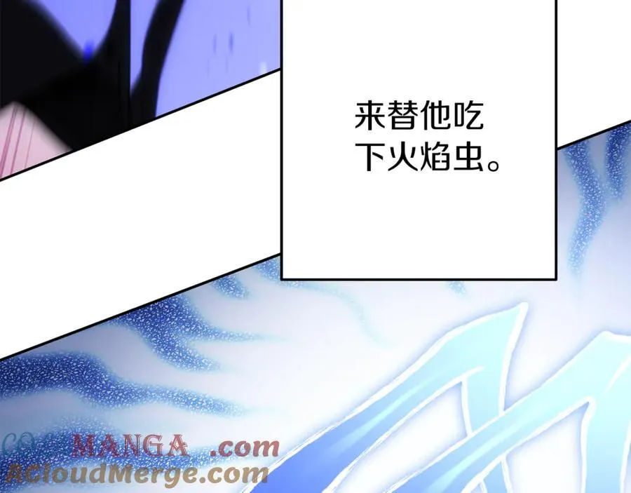 第221话 收服影子猫68
