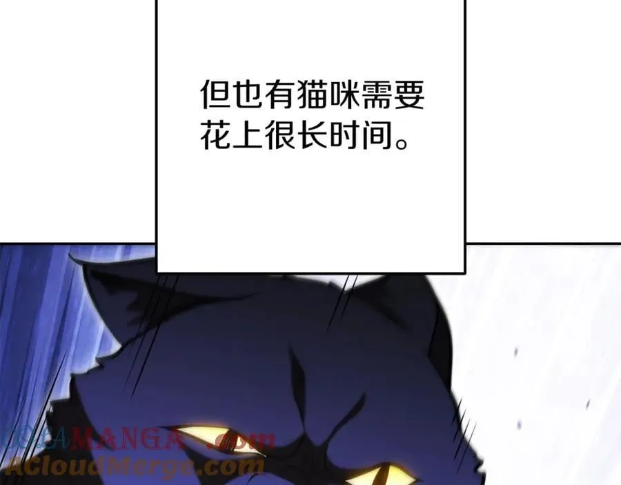 第221话 收服影子猫24