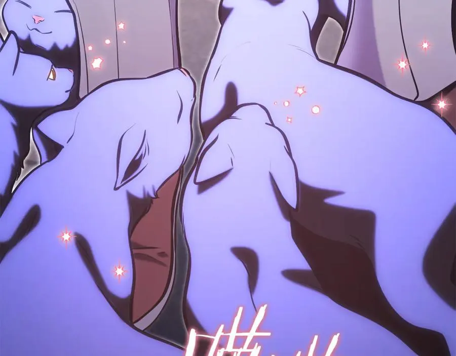 第221话 收服影子猫137