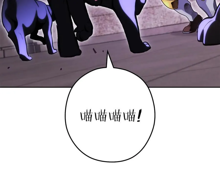 第221话 收服影子猫39