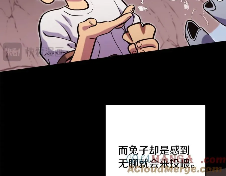 第228话 它们居然长翅膀了20