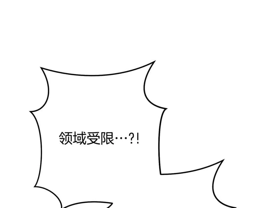 第204话 领域受限105