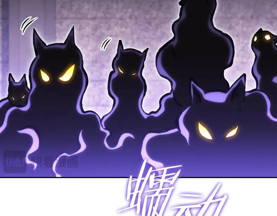 第221话 收服影子猫41