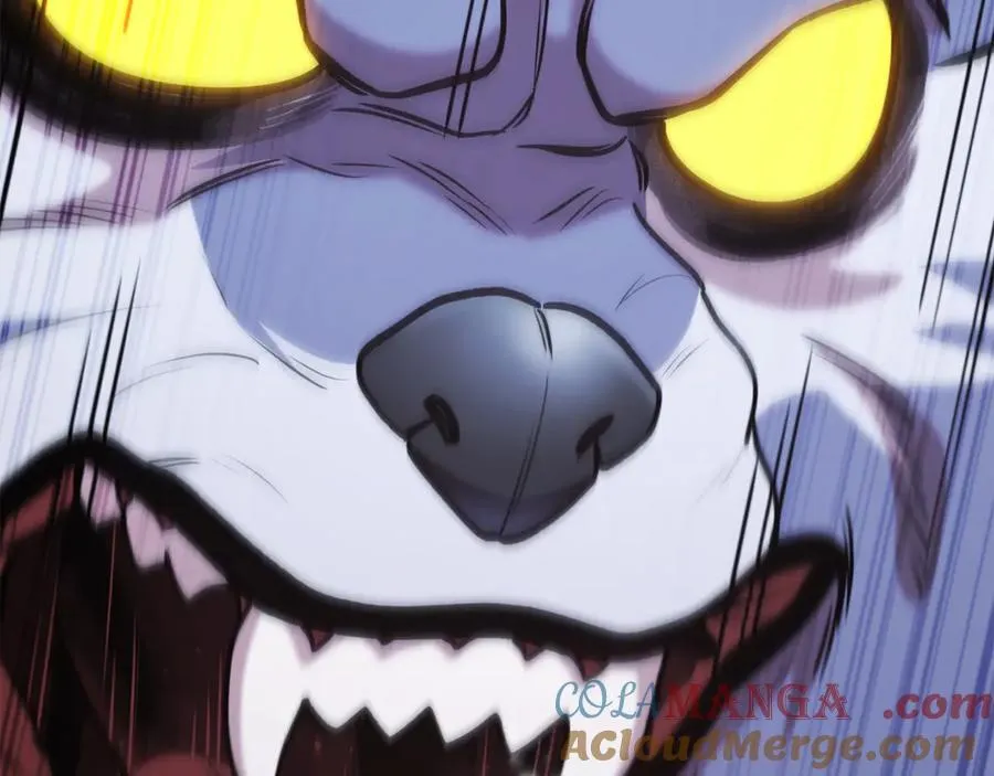 第204话 领域受限152