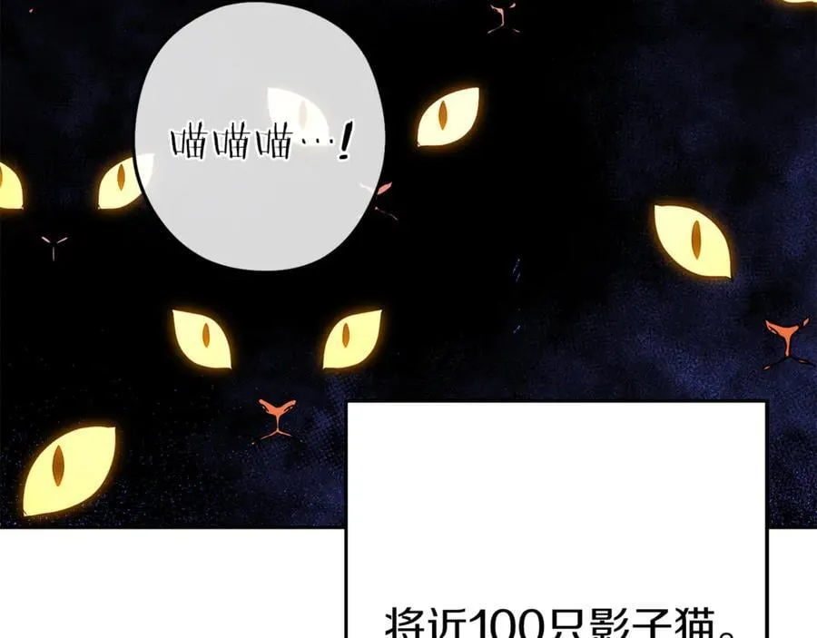 第221话 收服影子猫6