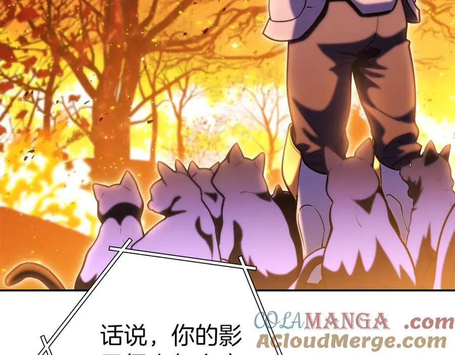 第221话 收服影子猫160