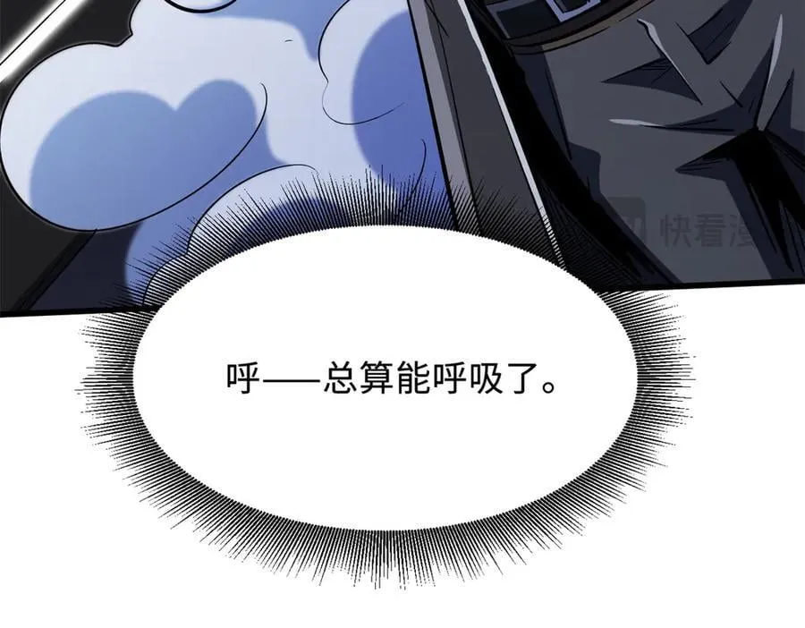 332 宠物丹13