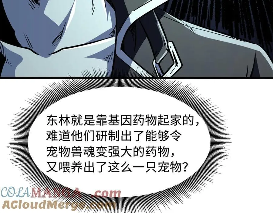 332 宠物丹24