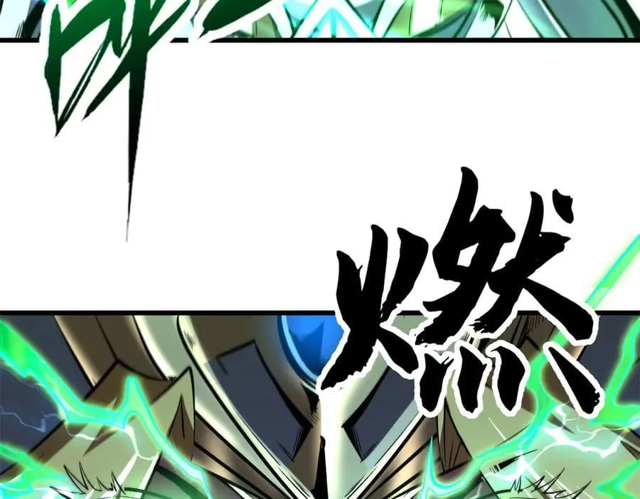 332 宠物丹105