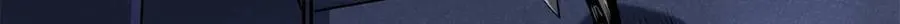332 宠物丹110