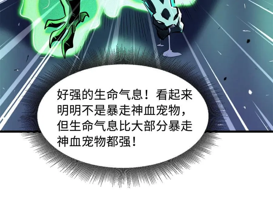 332 宠物丹19